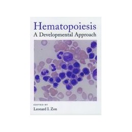 Hematopoiesis