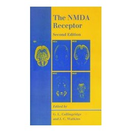 The NMDA Receptor