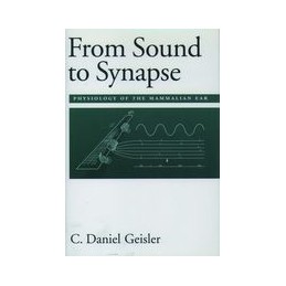 From Sound to Synapse