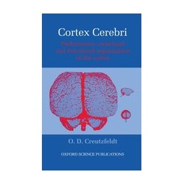 Cortex Cerebri