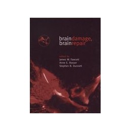 Brain Damage, Brain Repair