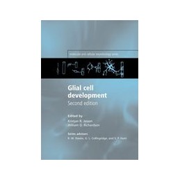 Glial Cell Development