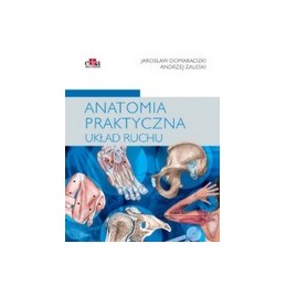 Anatomia praktyczna - układ ruchu