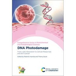 DNA Photodamage: From Light Absorption to Cellular Responses and Skin Cancer