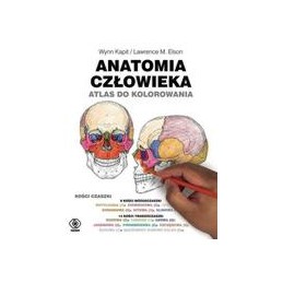 Anatomia człowieka - atlas do kolorowania