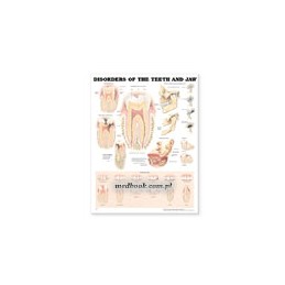 Disorders of the Teeth and...