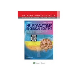 Neuroanatomy in Clinical Context