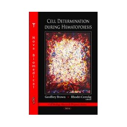 Cell Determination During...