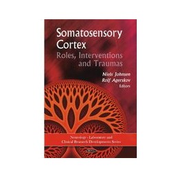 Somatosensory Cortex:...