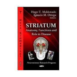 Striatum: Anatomy,...