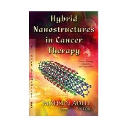 Hybrid Nanostructures in...