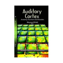 Auditory Cortex: Anatomy, Functions & Disorders