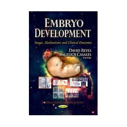 Embryo Development: Stages,...