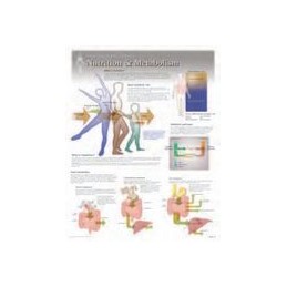 Nutrition & Metabolism...