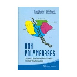 Dna Polymerases: Discovery, Characterization And Functions In Cellular Dna Transactions