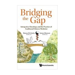 Bridging The Gap:...