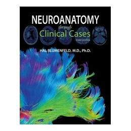 Neuroanatomy through...