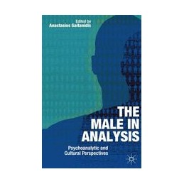 The Male In Analysis:...