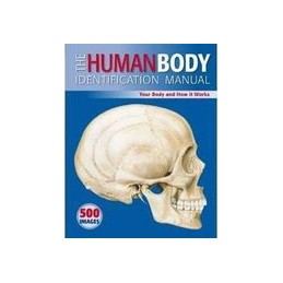 The Human Body Identification Manual: Your Body and How It Works