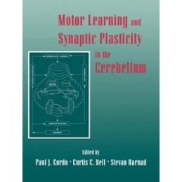 Motor Learning and Synaptic...
