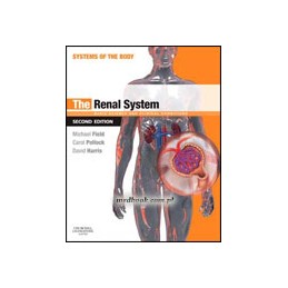 The Renal System