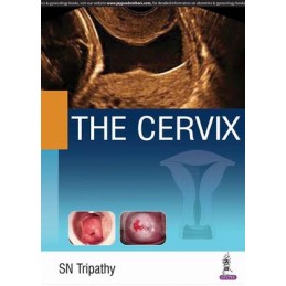 The Cervix