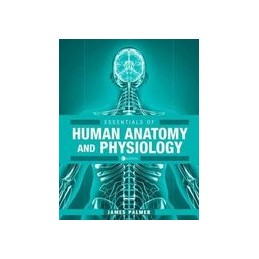 Essentials of Human Anatomy...