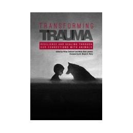 Transforming Trauma:...