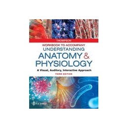 Workbook to Accompany Understanding Anatomy & Physiology: A Visual, Auditory, Interactive Approach