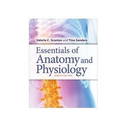 Essentials of Anatomy and...