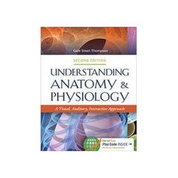 Understanding Anatomy &...