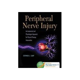 Peripheral Nerve Injury: An...