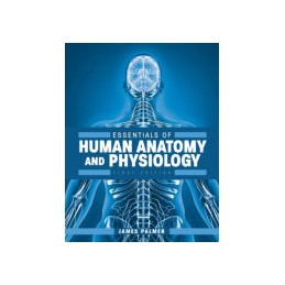 Essentials of Human Anatomy...