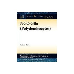 NG2-Glia (Polydendrocytes)