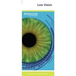 Low Vision