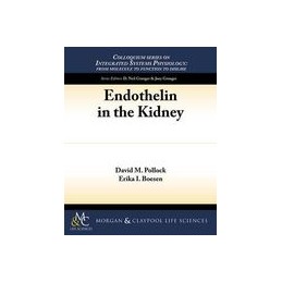 Endothelin in the Kidney