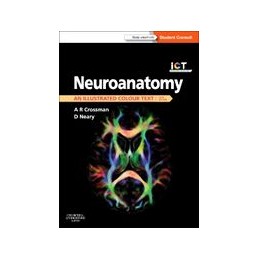 Neuroanatomy: an...