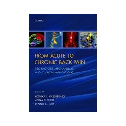 From Acute to Chronic Back Pain