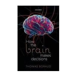 How the Brain Makes Decisions