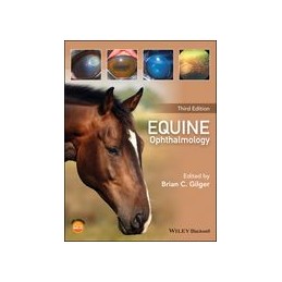 Equine Ophthalmology