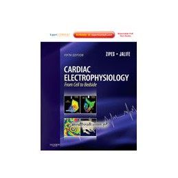 Cardiac Electrophysiology:...