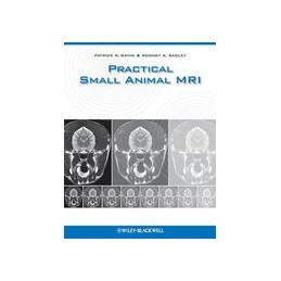 Practical Small Animal MRI