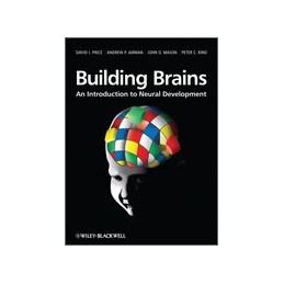 Building Brains: An...