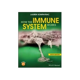 How the Immune System Works