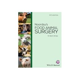 Noordsy's Food Animal Surgery