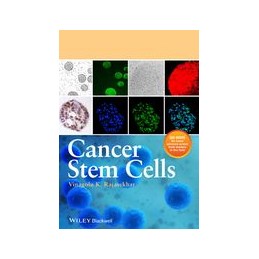 Cancer Stem Cells