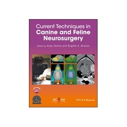 Current Techniques in Canine and Feline Neurosurgery