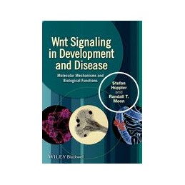 Wnt Signaling in...