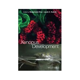 Xenopus Development