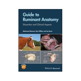 Guide to Ruminant Anatomy: Dissection and Clinical Aspects